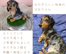 大切なペットちゃんのお人形を作ります 完成まで2週間。途中経過のお写真ご覧頂けます イメージ8