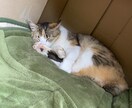 お話聞きます 男性限定！話したい事なんでも聞かせてください。 イメージ1