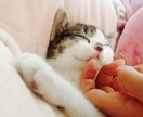 ＨＳＰの生きづらさ、理解されない苦しみに共感します あなたが安心して生きられるように、HSPの私が寄り添います* イメージ7