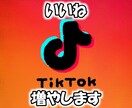 TikTokいいね増やします 高品質/減少ほぼ無し/いいね増やします イメージ1