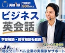 社会人向けビジネス英会話の練習相手になります 英検1級・海外営業経験者｜英語学習相談や教材選びも歓迎 イメージ1