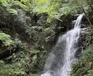 現在、あなたに抱いている彼の気持ちを5分で占います お気軽にご依頼いただける、5分程度からのミニ鑑定です イメージ10