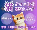 緊張しやすい方やHSP繊細さん専用★お悩み占います 猫のタロットで優しく+アゲサゲ無しで鑑定し丁寧にお伝えします イメージ1