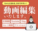 現役の動画編集者が作ります 伝えたいことが分かりやすく伝わる！ご要望に応じて柔軟に対応◎ イメージ1