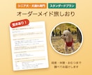 シニア犬の体力に合わせた犬連れ旅プラン作ります 段差・休憩・おむつまで調べる、シニア犬・犬連れ専門 イメージ2