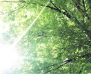 風景写真の素材を提供します 爽やかな自然など…ご要望があれば相談下さい！ イメージ1