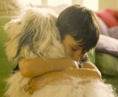 ペットの気持ちを占います 動物飼育歴30年のタロットカード士がペットの心を読み解きます イメージ3