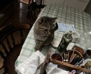 過去に病院に行くほど鬱になっています 今辛いひと、苦しい人、いつでも相談してください。 イメージ9