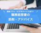 添削プラン／職務経歴書の整理・添削をします ★ビデオチャットあり★作成のアドバイスします！ イメージ1