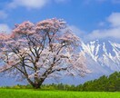 タロット占いタイミング合えば30分で占います 初心者期間中。4月までの限定価格です。1日以内にお返事 イメージ1
