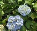 今！話せます 今すぐ！何でも！時間も自由！ご自由にお使いください^ ^ イメージ7