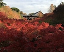 京都観光マスターがオリジナル旅行プランを提案します 19年間、京都観光専門サイトを運営してきた京都人がオススメ イメージ7