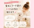 愛犬のご飯選び、優しくサポートします 愛犬の体質に合うご飯選びをサポートします イメージ1