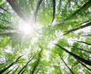 自分軸で生きる！あなたの人生をアップグレードします 最善最高の未来にリンクするライフ アップグレード ヒーリング イメージ2