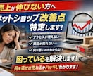 売れてないECを改善｜売上アップの具体施策出します 【残り１０名！】売上が伸びる改善点を具体提示します イメージ3