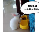 寄り添いママ志(こころ)と申します あなたのお話しに、耳を傾けます。安心して話してね‼️ イメージ3