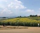 インターネット副業が心配の方、騙される前にます 副業を始めようとしているかた稼げないものと追加金額に注意 イメージ1