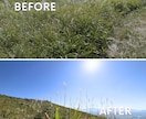 SNS映え！【初心者向け】スマホ写真の基礎教えます あなたの魅力を最大限に引き出す、撮影の基礎編 イメージ5