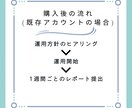 限定価格！30日間Twitter運用代行します 見込み客の集客、マネタイズ導線の構築をサポートします。 イメージ5