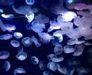 100人いれば100人の恋、お話聞きます お話するだけでヒーリング効果があります。お気軽にどうぞ。 イメージ2
