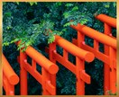 初回限定｜彼の気持ちと恋の行方を至高霊視します 本音/結婚/秘密の恋｜恋愛の不安を終わらせる霊視鑑定 イメージ9