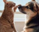 ペットロス大切な家族を亡くした悲しみを共に抱えます ペットロス/喪失感/犬/猫/動物/家族/ペット/別れ/死 イメージ8