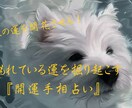 手相を見て、恋愛運、金運、仕事運などを占います あなたの埋もれた運を掘り起こす開運手相占い イメージ1