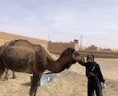 女世界一人旅バックパッカーが経験をシェアます マイナー国家にも旅行体験がある私が経験をシェアします イメージ1