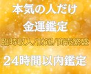 本気の人だけ|金運の流れをで鑑定します 副業・臨時収入・貯蓄運のヒントをお届けします。 イメージ1