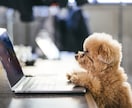 日常のモヤモヤや気になったことお話できます 愚痴聞きも得意です！人と話すだけでスッキリすることありますよ イメージ7