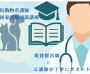 元講師の現役獣医師が受験対策を徹底サポートします 愛玩動物看護師試験に精通した元講師が丁寧に指導します。 イメージ1