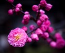 チャネリング＋羽黒山神社へ代理参拝をします 守護霊等のアドバイス＋開運ご利益でお悩み解決＆パワーUp♡ イメージ3