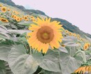 悩んでいること困っていること一緒に考えます 目の前が真っ暗でモヤモヤする時は私が聞きます、受け止めます イメージ1