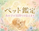 ペット鑑定｜愛する家族の想いを読み解きます 大切な家族。言葉がなくても、想いは必ず届いています。 イメージ1
