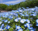 ほっとひと息つきましょう☕️やさしくお話聞きます 癒し声◎友だち感覚◎少しの時間でも気軽にお試しください☘️ イメージ8