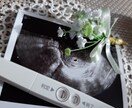 妊活不妊の悩み：授かるためのアドバイスをします 不妊のプロ胚培養士経験のあるカウンセラーによるオーダーメイド イメージ8