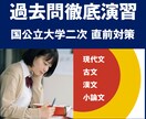 国公立大学二次試験 国語記述、小論文の対策します 国語、小論文のプロ講師が、あなただけの国公立二次対策します！ イメージ1