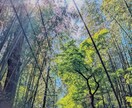 美しい風景写真等お売ります 都会では撮れない美しい風景がここにあります イメージ3