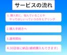 本業に集中したい人向け！メルマガの運用代行します あなたのMyASP(マイスピー)設定〜配信までサポートします イメージ4