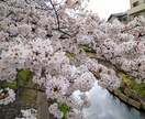 うつ病、元美容師が、心や美容室での悩みを聞きます うつ病持ち元美容師。こころの悩み、美容室での疑問など是非！ イメージ4