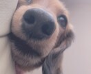 恋愛などさまざまな心の悩み少しでも和らげてあげます 友達にもよく相談されアドバイスはしっかりお伝えできます！ イメージ1