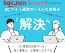 楽天市場出店後のお悩み相談、運営サポートします ECサイト、1週間みっちり問題解決、サポート、相談承ります イメージ1