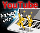 国内YouTube再生+1000回UPさせます 【効果抜群】日本人集客強化！YouTube再生数UP！ イメージ10