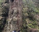 福岡県の登山を教えます 福岡県限定、登山初心者の方いませんか イメージ4