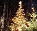 クリスマスに素敵なデートできます あなたの魅力を引き出すお手伝いさせてください！ イメージ4