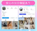 Instagram日本人フォロワー増加します ストーリーズ更新あるフォロワー◎大口割引◎スピード調整◎ イメージ2