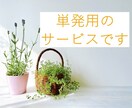 初心者の方に優しいボイトレを行います 単発用！プロから教わった経験と独学の知識の全てを提供します イメージ2