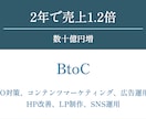 WEB戦略・ホームページを格安で診断します WEBマーケティングの専門家が売上アップの診断をします イメージ2