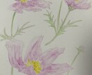 絵葉書承ります 絵葉書で気持ち伝えてみませんか？ イメージ1