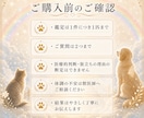 虹の橋を渡ったペットちゃんの気持ち霊視します 家族として大切なあの子との『心の対話』をお届けします イメージ9